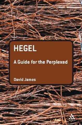 Cover of Hegel: A Guide for the Perplexed
