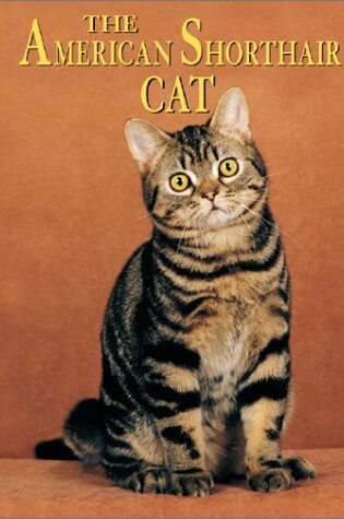 Cover of The American Shorthair Cat