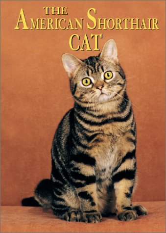 Book cover for The American Shorthair Cat