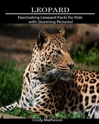 Book cover for Leopard