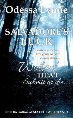 Book cover for Salvadore's Luck