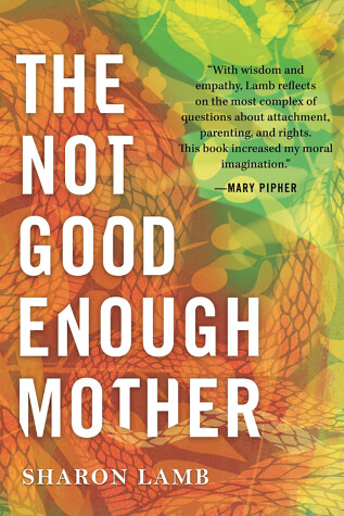 Book cover for The Not Good Enough Mother