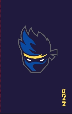 Book cover for Ninja Notebook