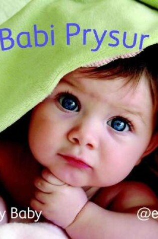 Cover of Llyfr Clwt: Babi Prysur / Cloth Book: Busy Baby