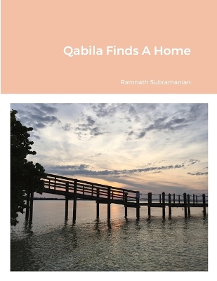 Book cover for Qabila Finds A Home