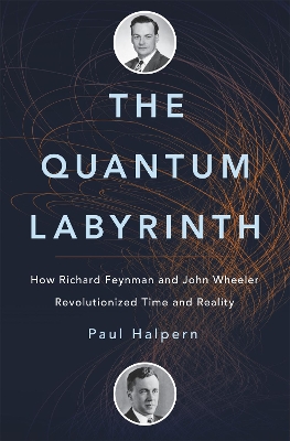 Book cover for The Quantum Labyrinth