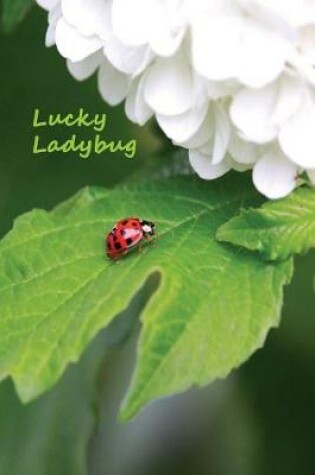 Cover of Lucky Ladybug