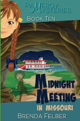 Book cover for Midnight Meeting