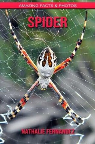 Cover of Spider