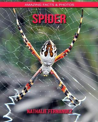 Book cover for Spider