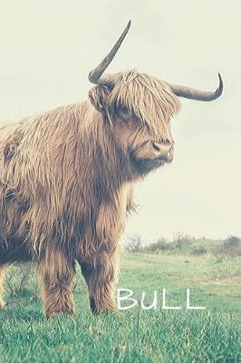 Book cover for Bull