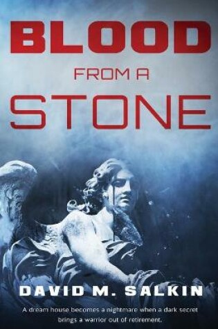 Cover of Blood from a Stone