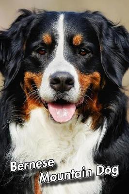 Book cover for Bernese Mountain Dog