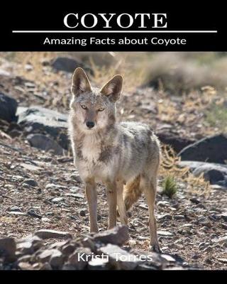 Book cover for Amazing Facts about Coyote
