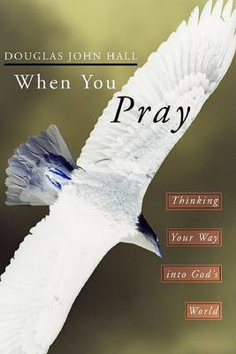 Book cover for When You Pray
