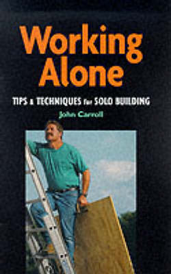 Book cover for Working Alone