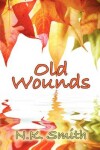 Book cover for Old Wounds