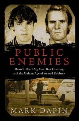 Book cover for Public Enemies