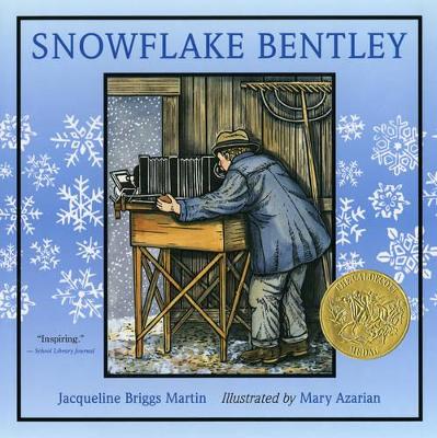 Book cover for Snowflake Bentley