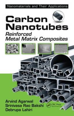 Book cover for Carbon Nanotubes