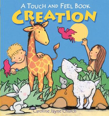 Book cover for Creation Touch and Feel