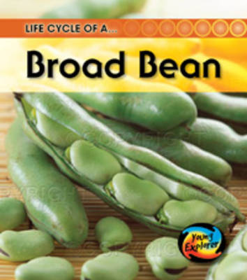 Book cover for Life Cycle of a Broad Bean