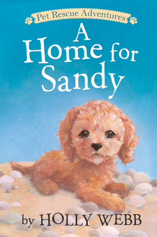 Cover of A Home for Sandy