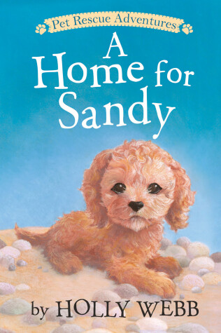 Book cover for A Home for Sandy