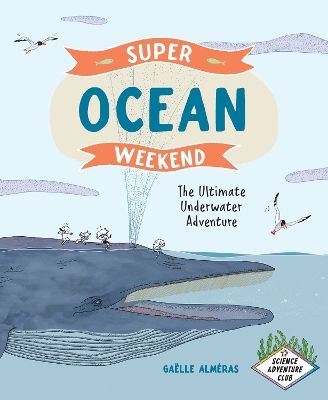 Book cover for Super Ocean Weekend