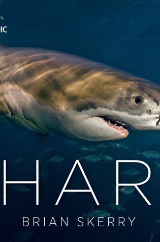 Cover of Shark