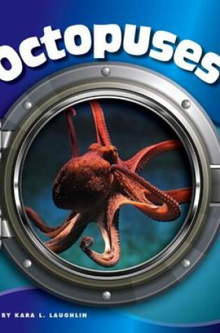 Cover of Octopuses
