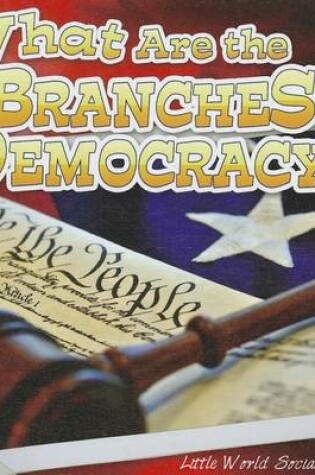 Cover of What Are the Branches of Democracy?