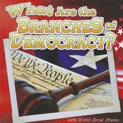 Cover of What Are the Branches of Democracy?