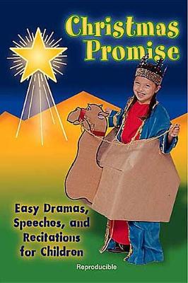 Book cover for Christmas Promise Drama