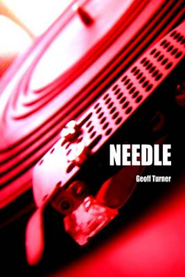 Book cover for Needle