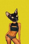 Book cover for Pop Art Sexy Cat Journal