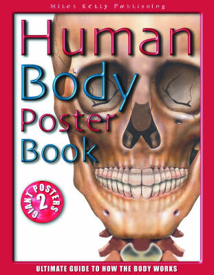 Book cover for Human Body Poster Book