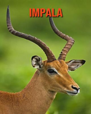 Book cover for Impala