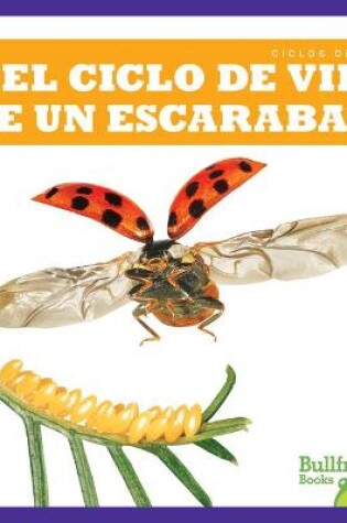 Cover of El Ciclo de Vida de Un Escarabajo (a Beetle's Life Cycle)