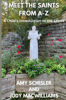 Book cover for Meet the Saints From A-Z