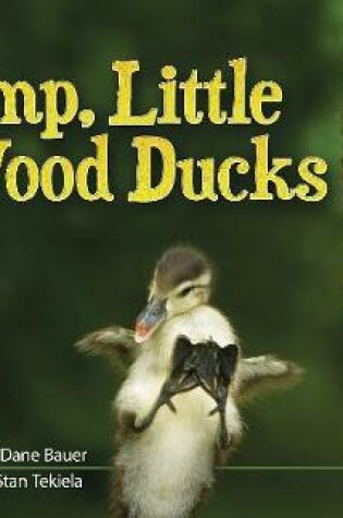 Cover of Jump, Little Wood Ducks