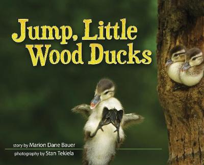 Book cover for Jump, Little Wood Ducks