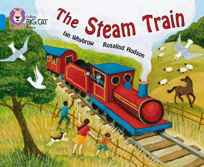 Book cover for The Steam Train