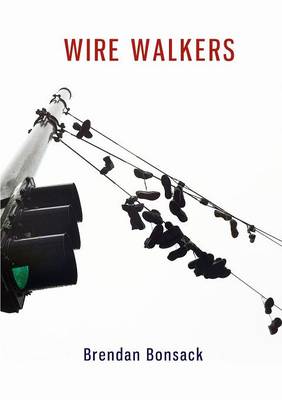 Book cover for Wire Walkers