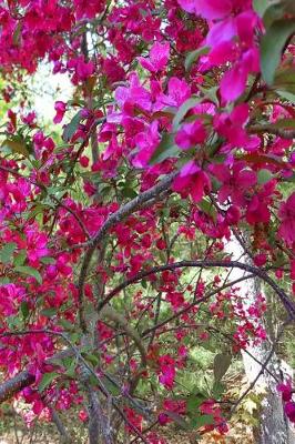 Cover of Springtime Journal Glorious Flowering Tree