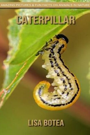 Cover of Caterpillar