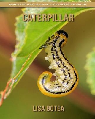 Book cover for Caterpillar
