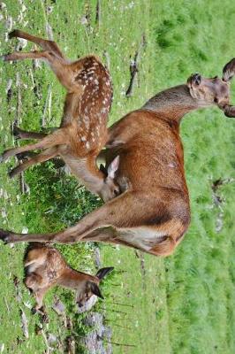 Book cover for Mother Deer and Two Fawns in a Meadow Journal