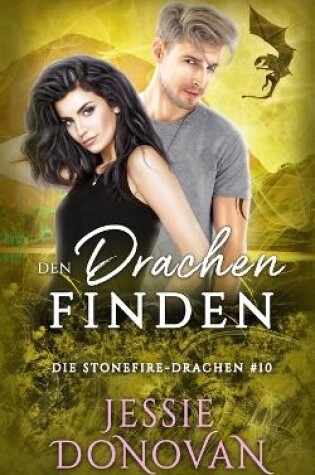 Cover of Den Drachen finden