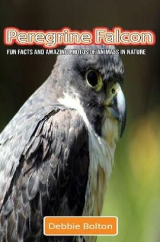 Cover of Peregrine Falcon